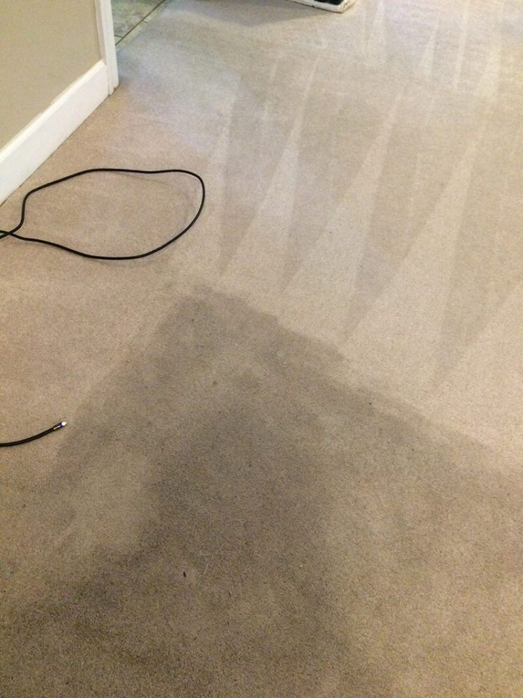 Carpet Cleaning Clarksville TN Gallery PICTURES