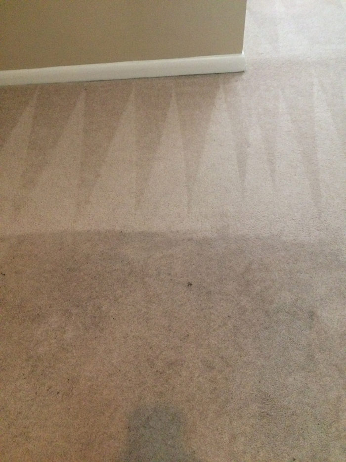 Carpet Cleaning Clarksville TN Gallery PICTURES