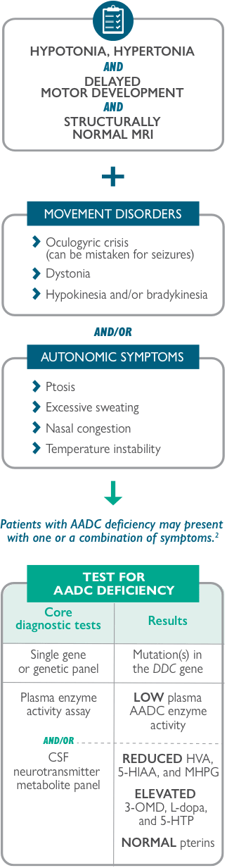 diagnosis-chart-mobile | AADC Insights