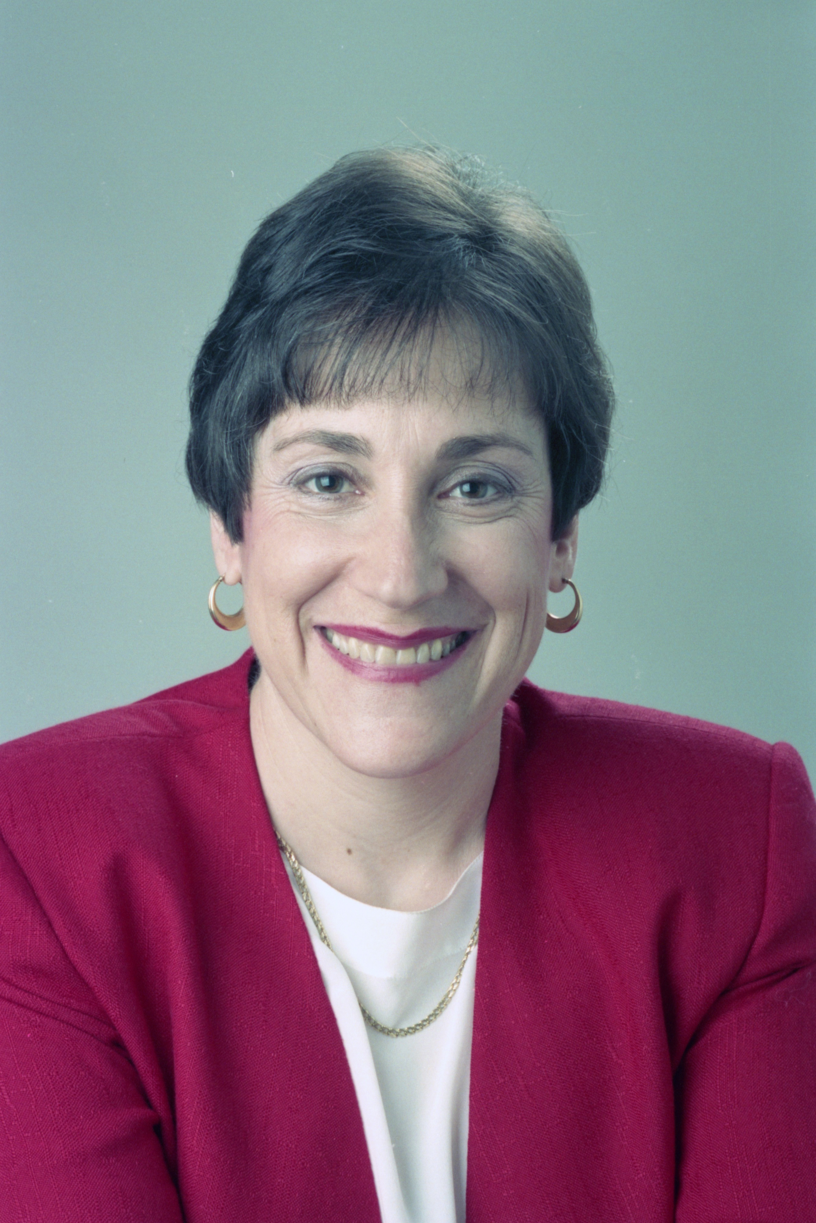 Washtenaw County Assistant Prosecutor Lenore Ferber, June 1993 Ann