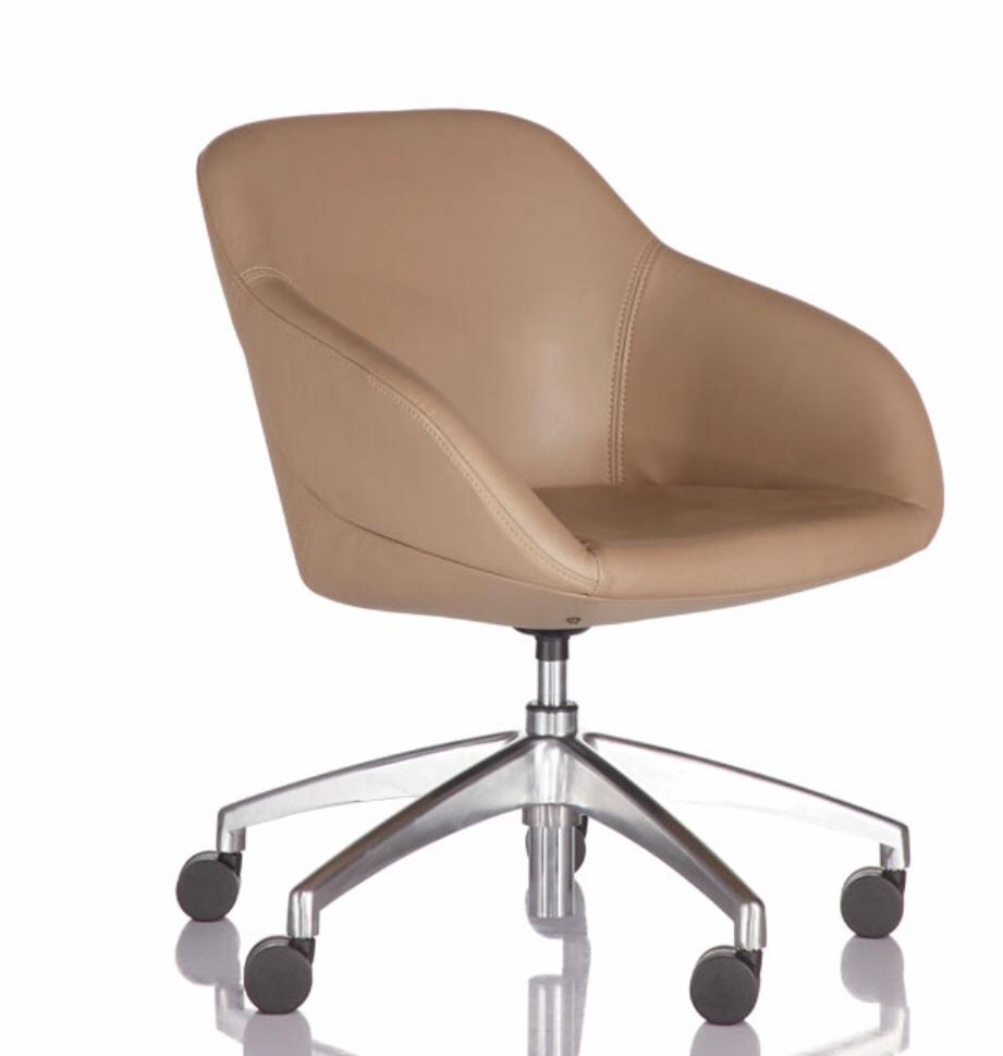Ergonomic Office Chairs Cafe & Lounge Executive Chairs