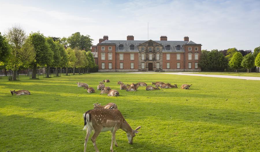 Trust Flora Dunham Massey A studentfriendly Northern National Trust
