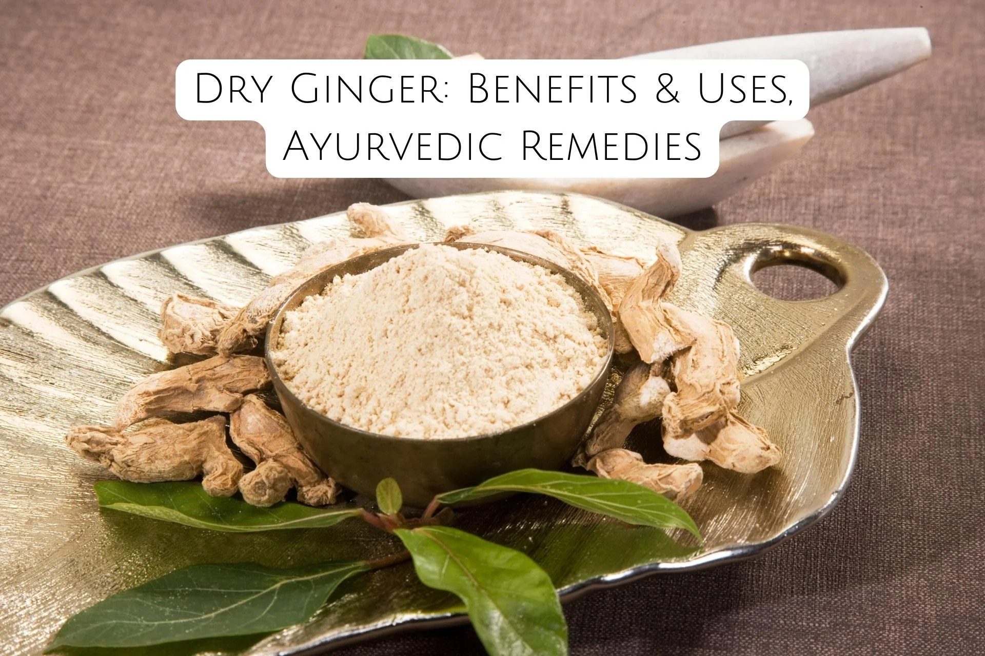 Dry Ginger Benefits & Uses, Ayurvedic Remedies