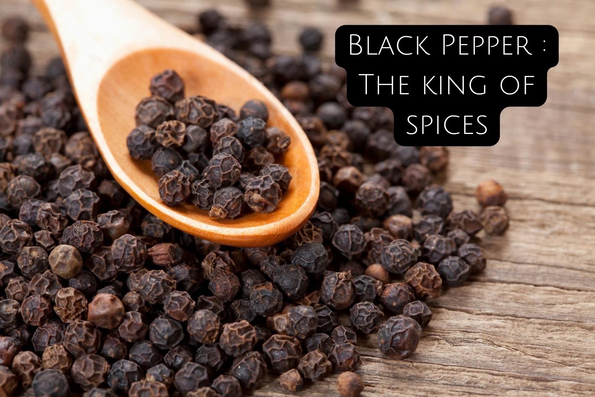 Black Pepper The king of spices