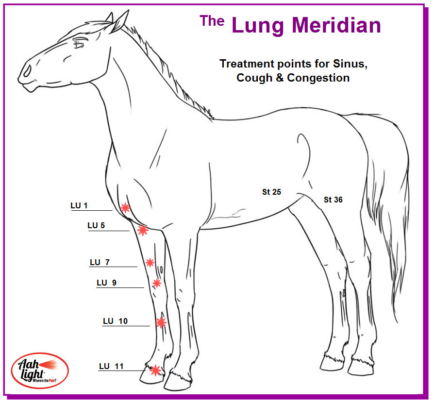 What's New? AAH Light
