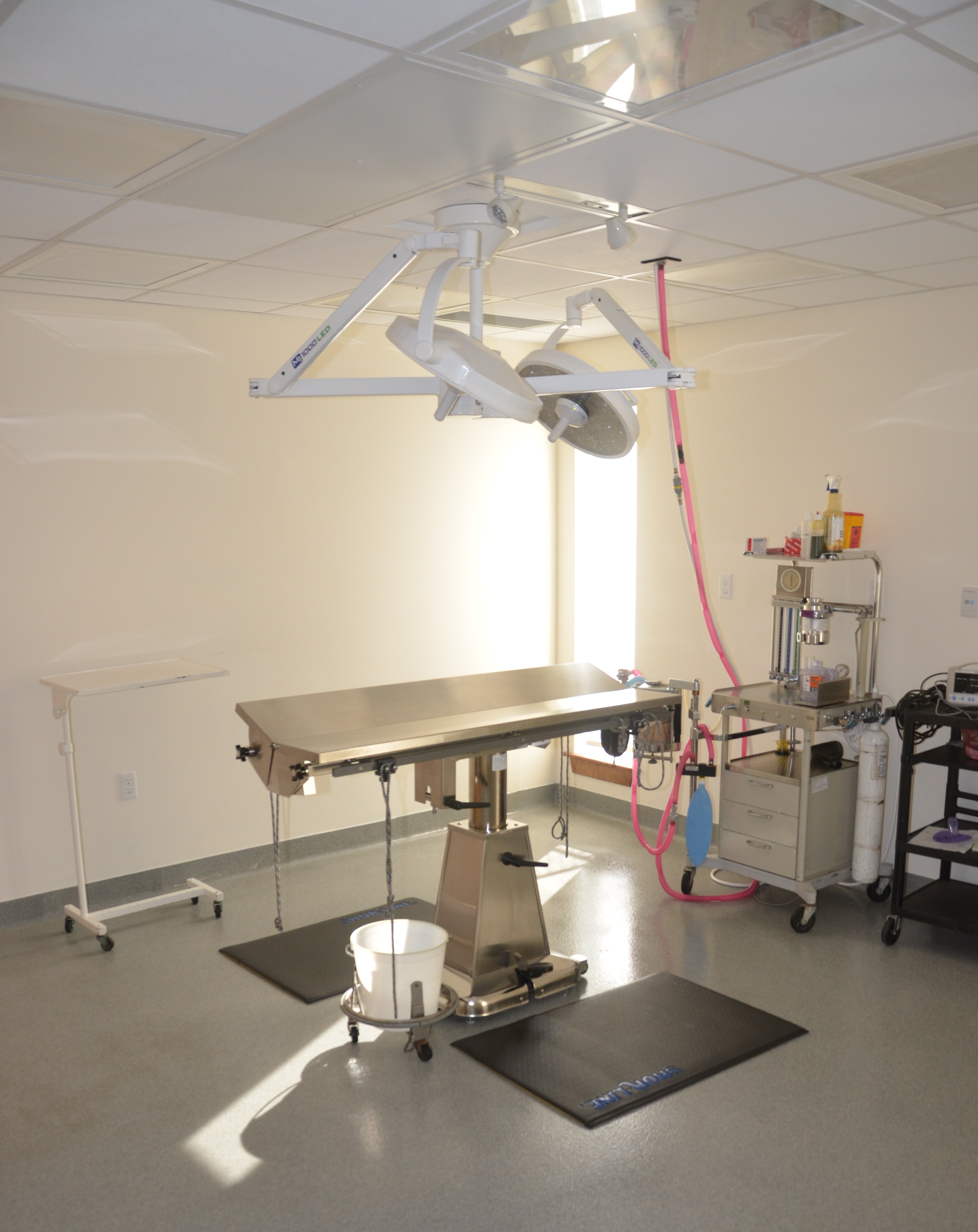 Our Hospital New Minas, NS Veterinarian Animal Clinic Annapolis