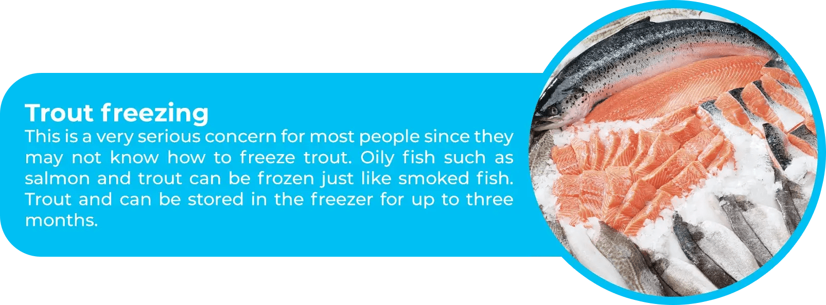 Trout Species, Products, Habitats and Facts Buy Trout Products