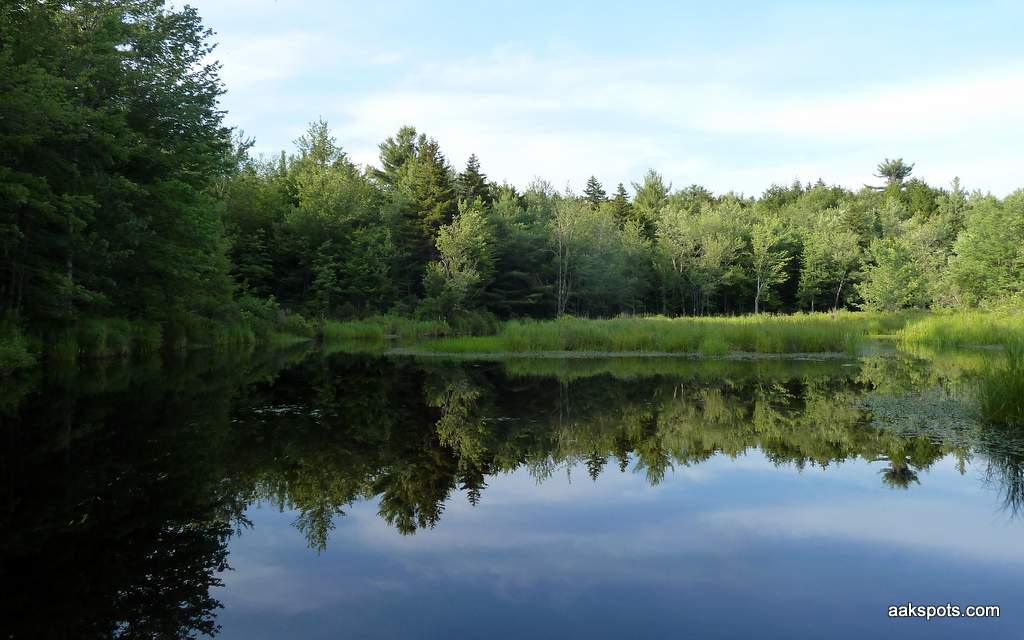 Dunham Reservoir Cropseyville, NY (30 mins. NE of Albany) aakspots