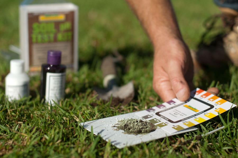 The Benefits of Adding Lime to Your Lawn and When to Apply Itâ€¦