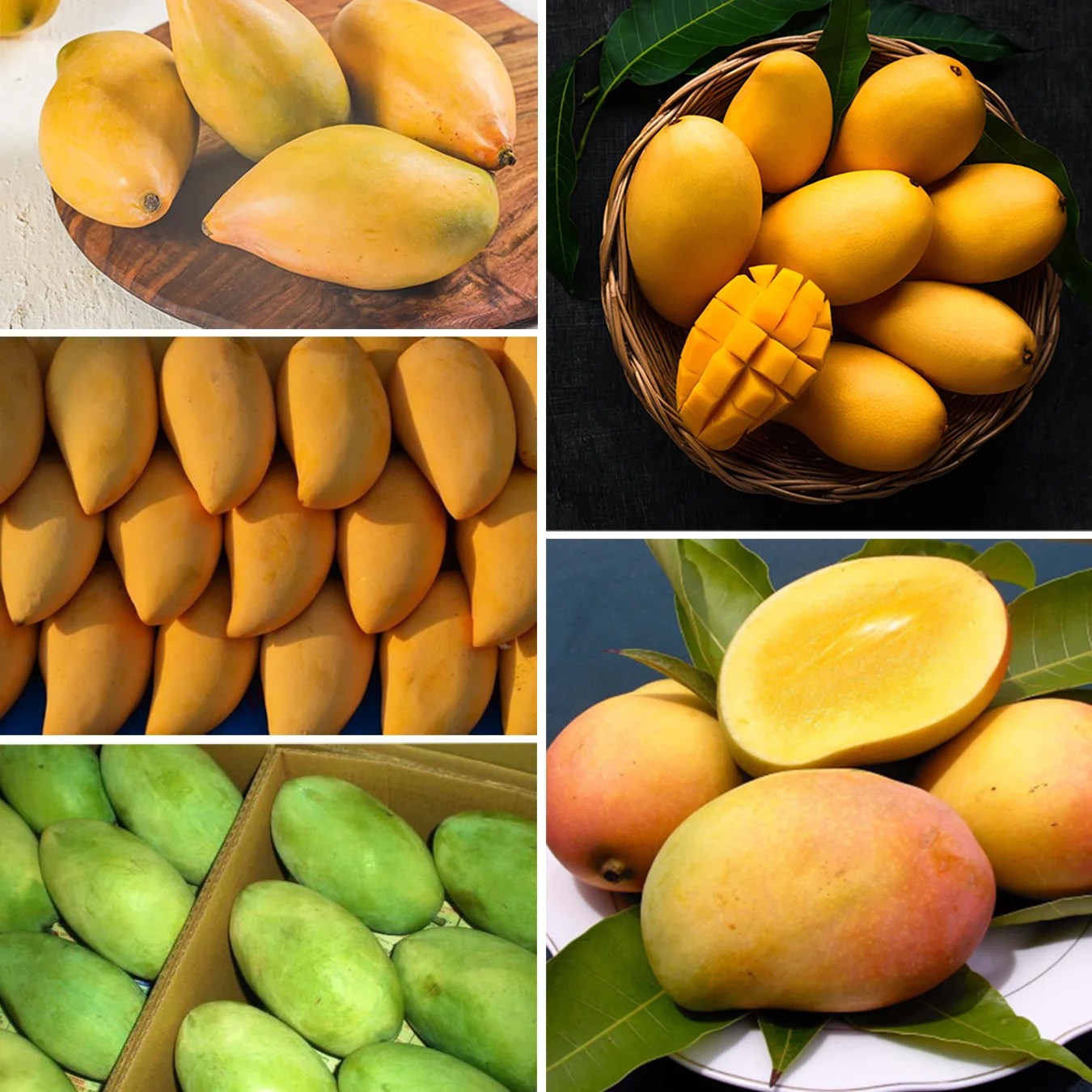 Level up your corporate gifting with Aamrai Alphonso Mangoes