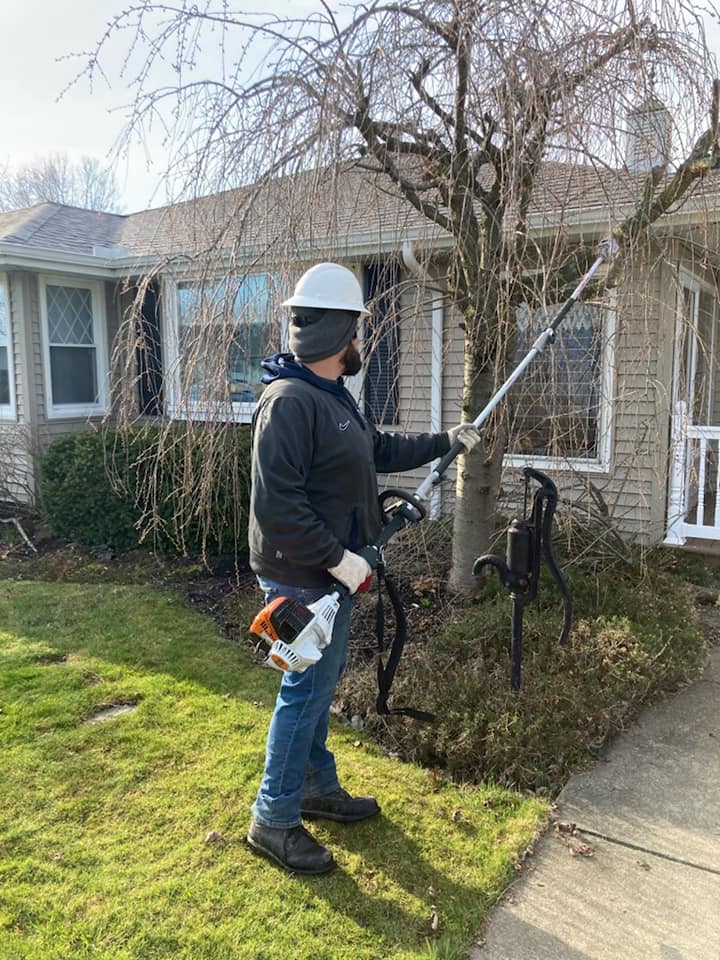 Tree Trimming & Pruning A&A's Tree Service