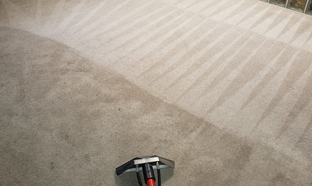 A&B Professional Services LLC Carpet Cleaning