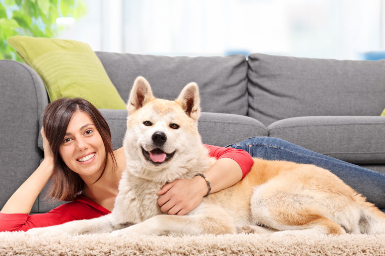 Pet Stain and Odor Removal Brooklyn