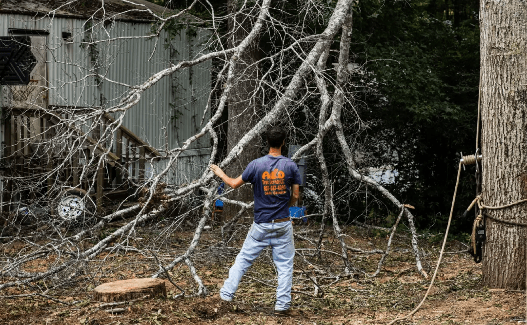 Deadwooding A&D Tree Services