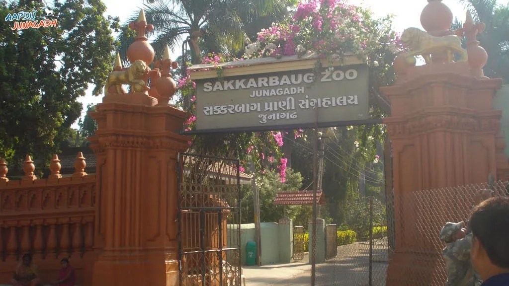 Top 10 places Junagadh that you can visit today Aapdu Junagadh
