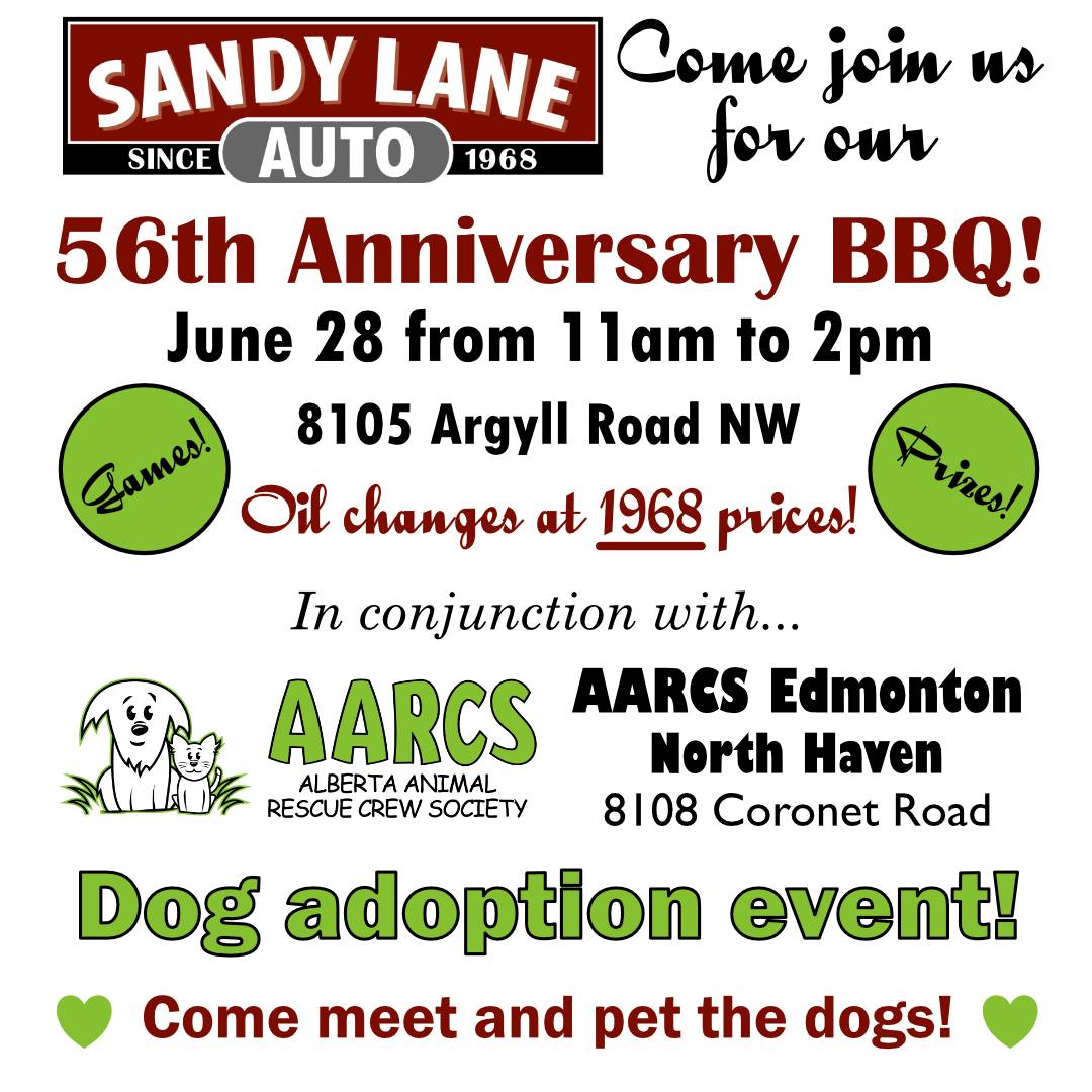 🚗 Sandy Lane Auto 56th Anniversary Party! 🐶 AARCS