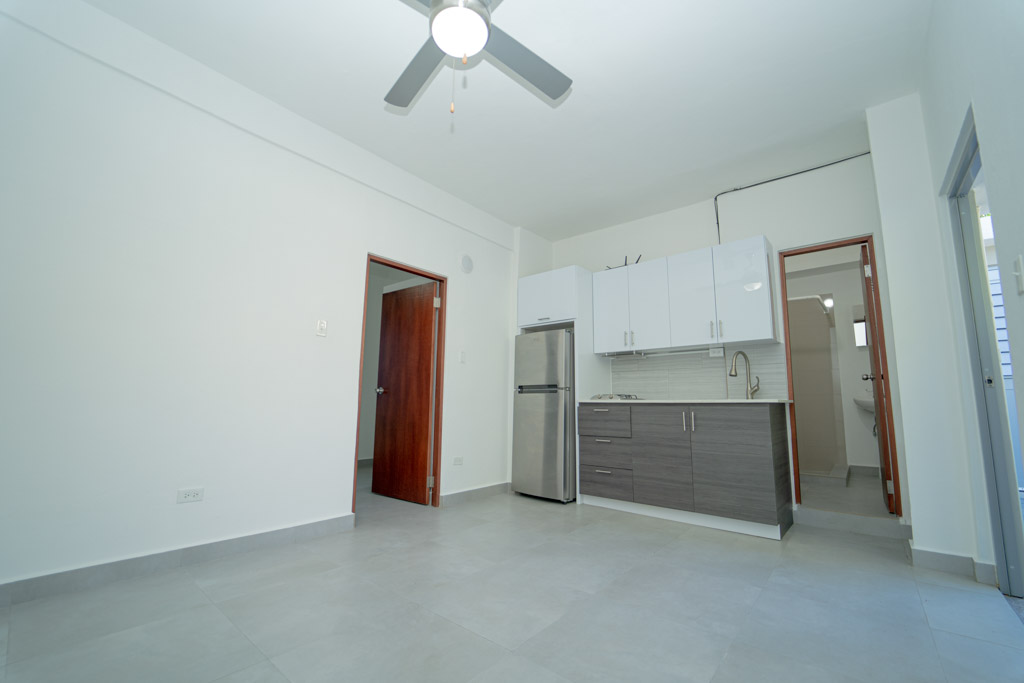 Luxury Roosevelt Apartments 1 Bedroom AA Real Estate
