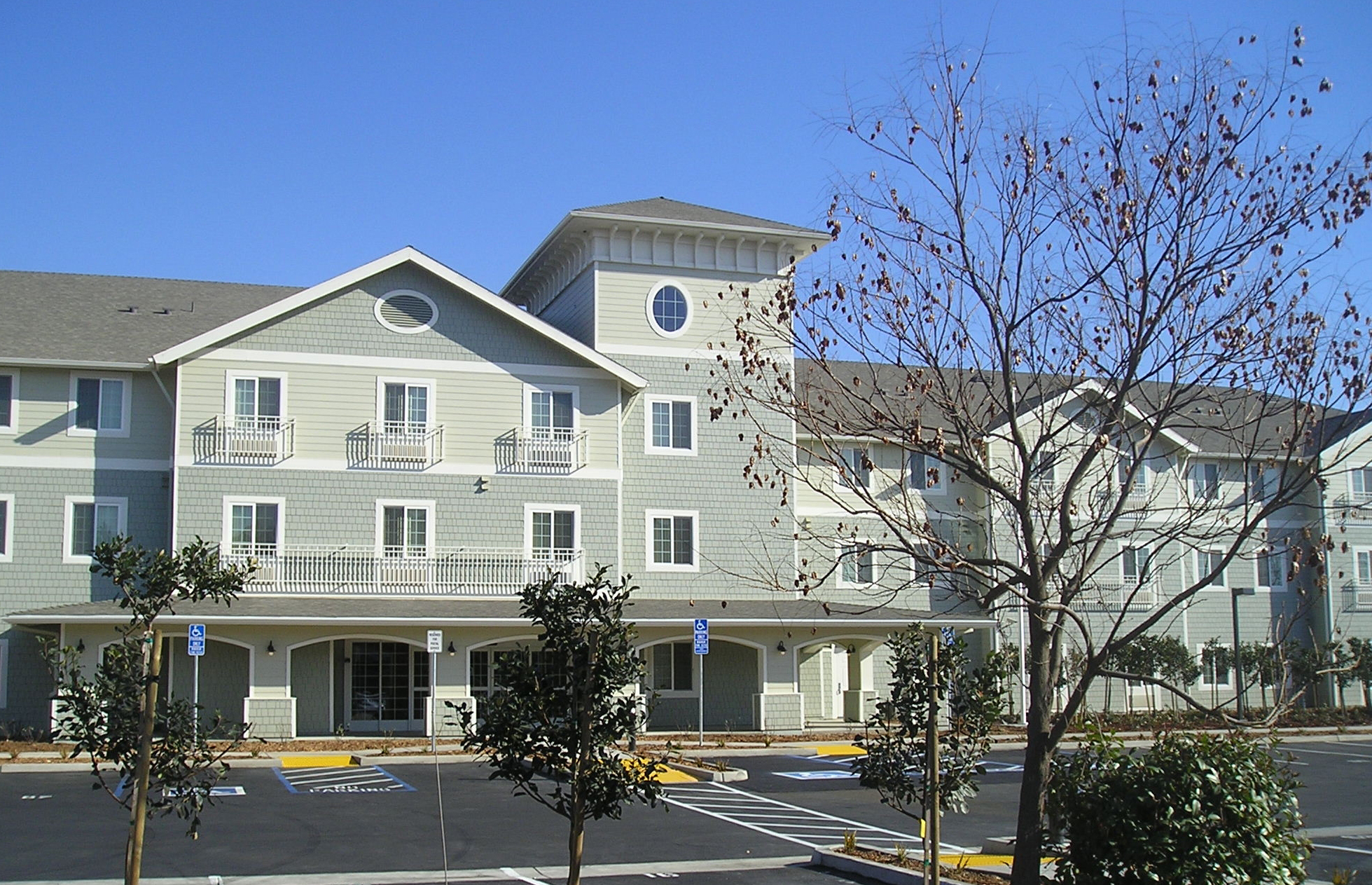 Rose View Terrace aark engineering