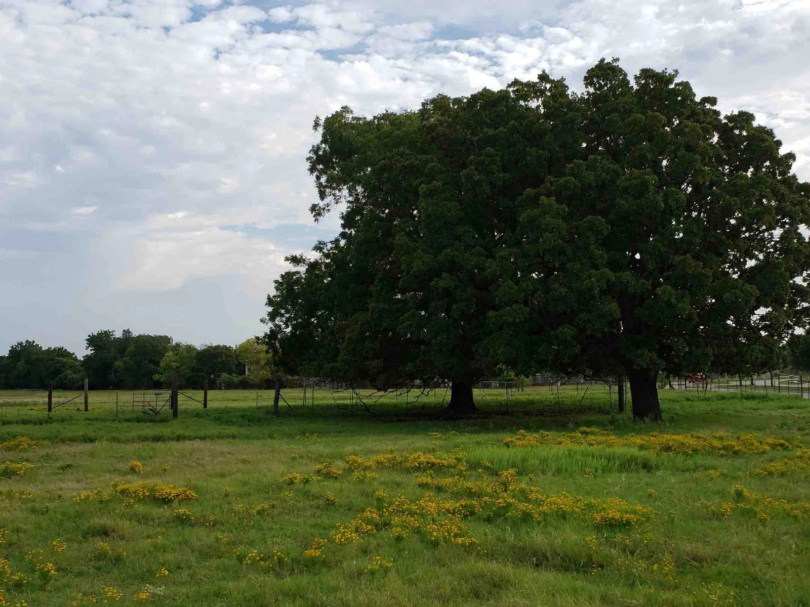 Denton County Land & Acreage Sorted by Price Range & Location