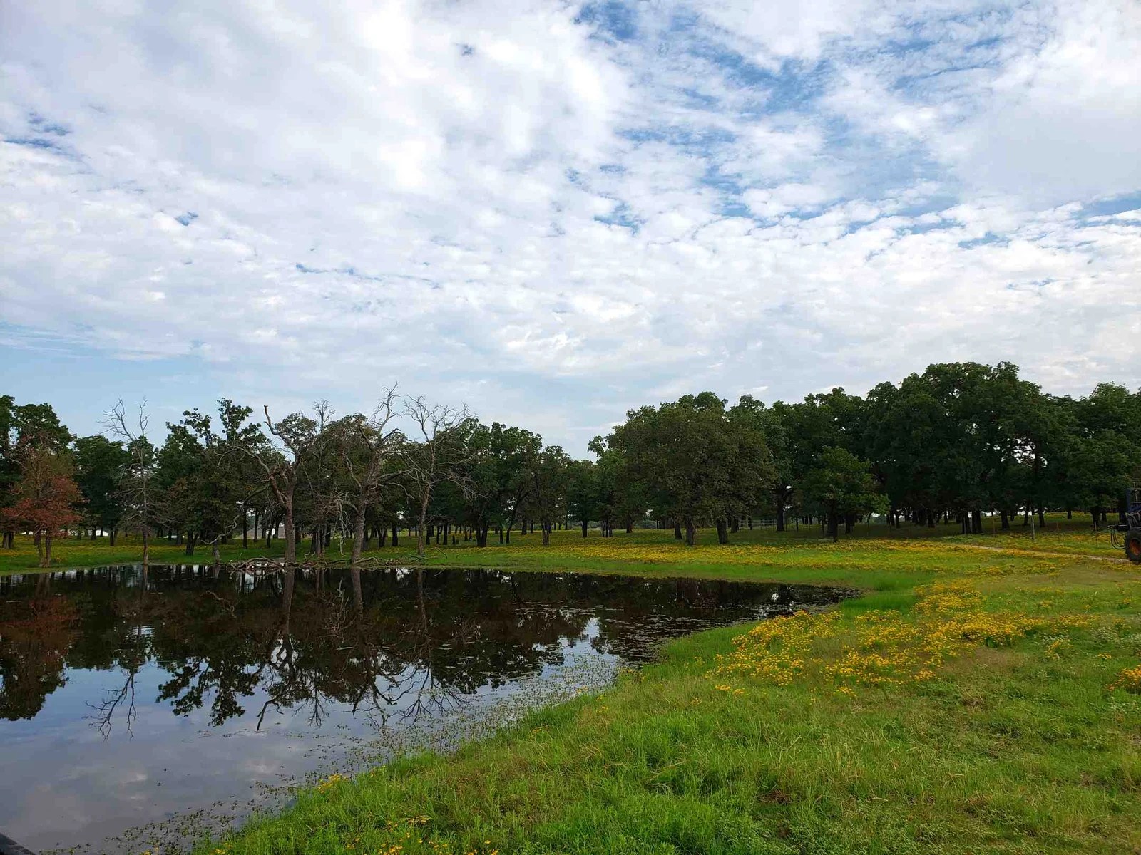 Denton County Land & Acreage Sorted by Price Range & Location