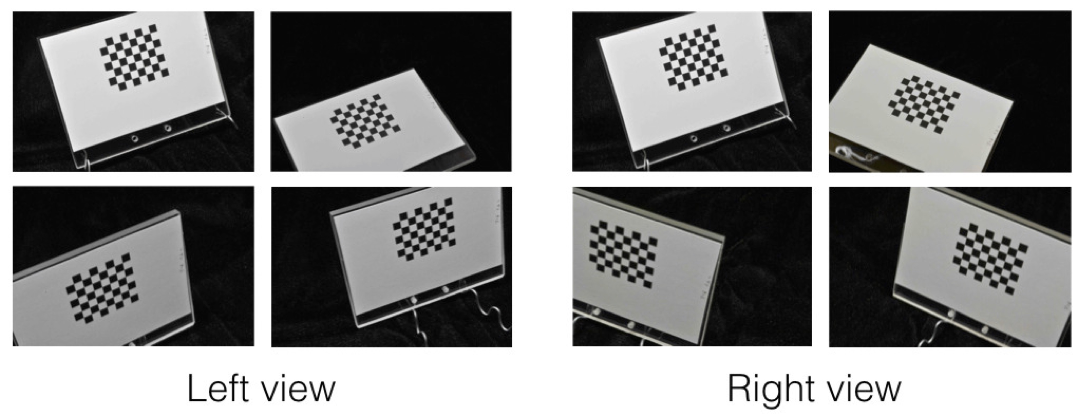 StereoMorph Additional features