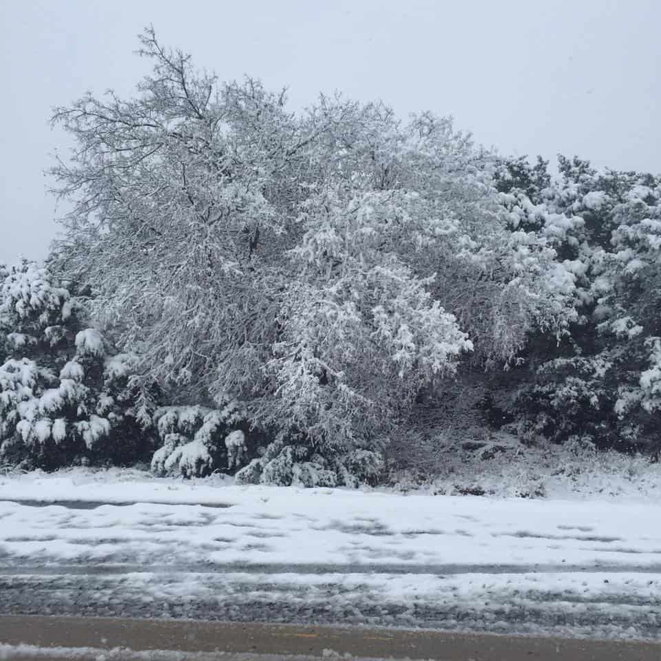 Cassie Stone, Boley, OK ATs Weather