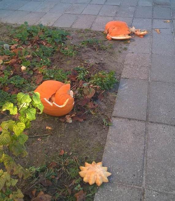 Halloweengræskar smadret ved Børnehuset Drømmebakken 5560 AARUP