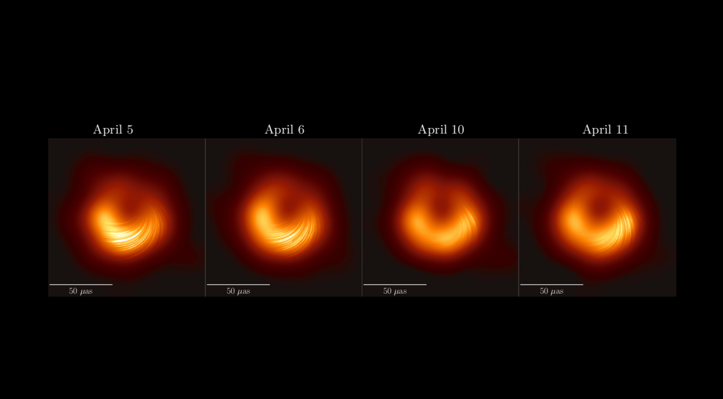 Event Horizon Telescope Traces Fields Around a Black Hole