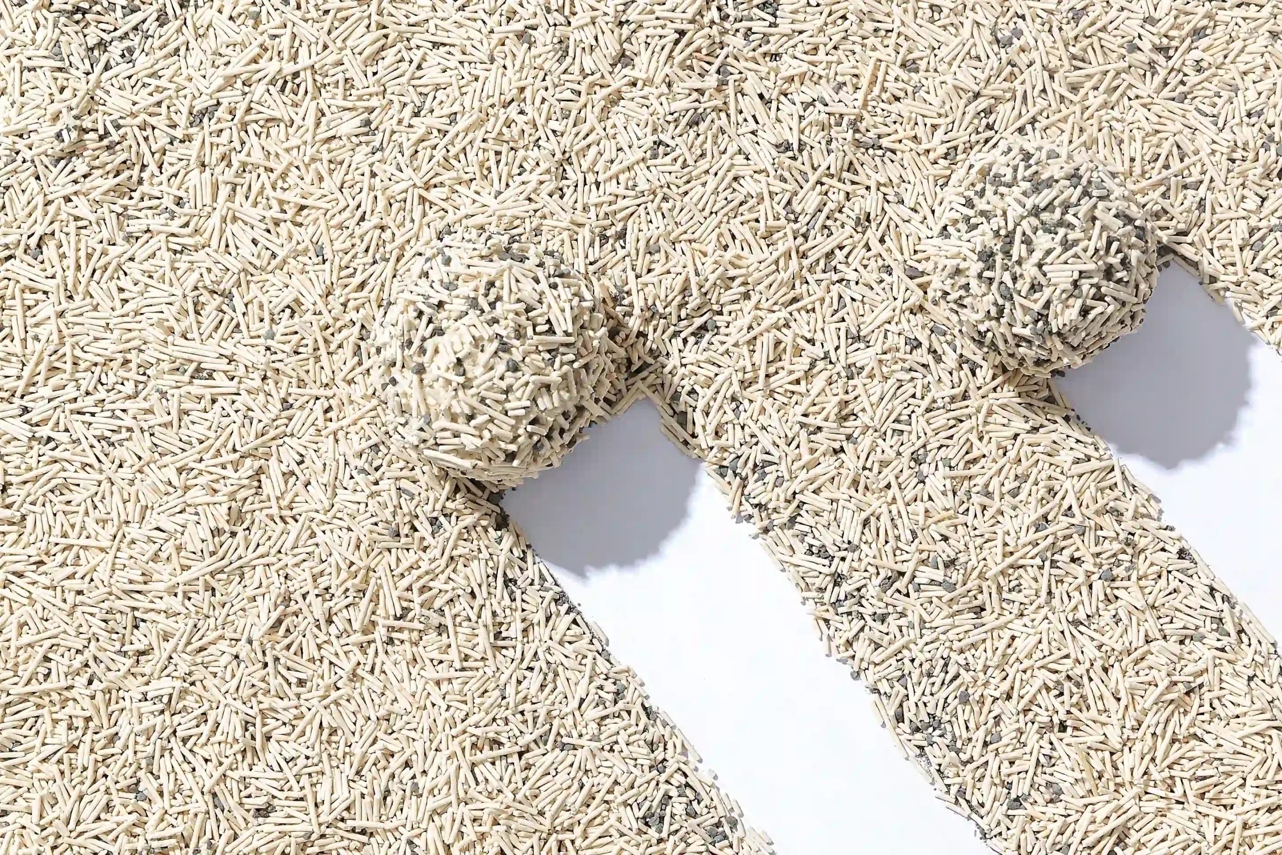 Why Cat Litter Is A Lucrative Business Opportunity AAST Global