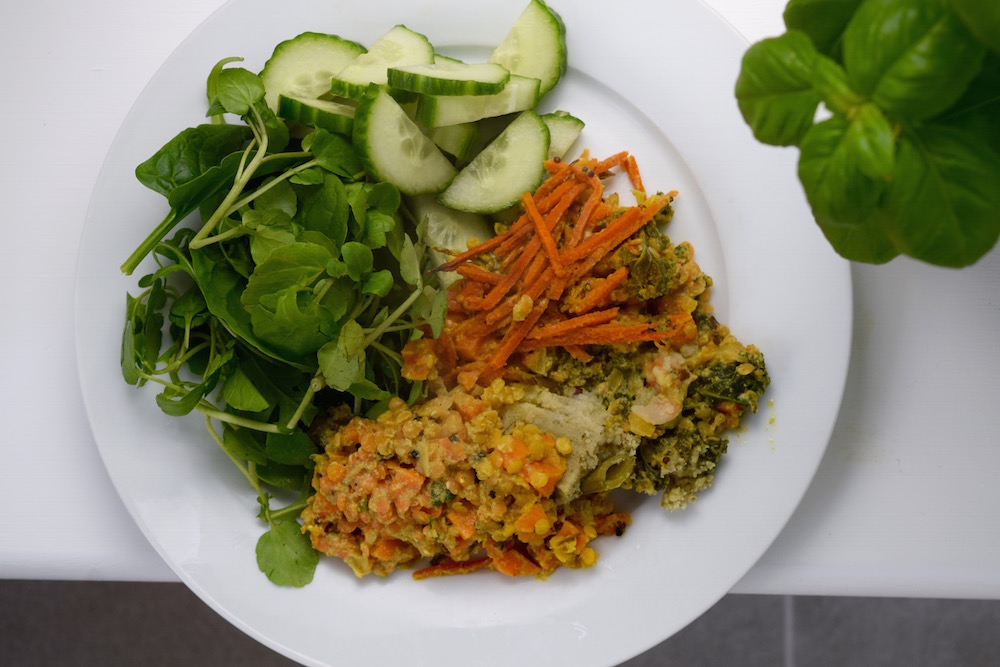 Review allplants PlantBased Meal Home Delivery AAUBlog