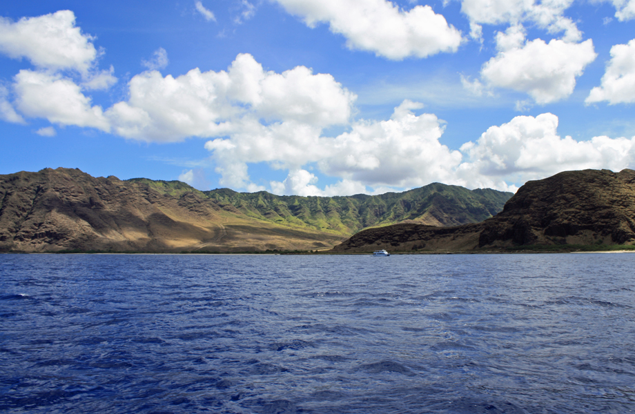 The Second Day of National PlanForVacation Day 2019 Swim with Spinner Dolphins in Waianae, O