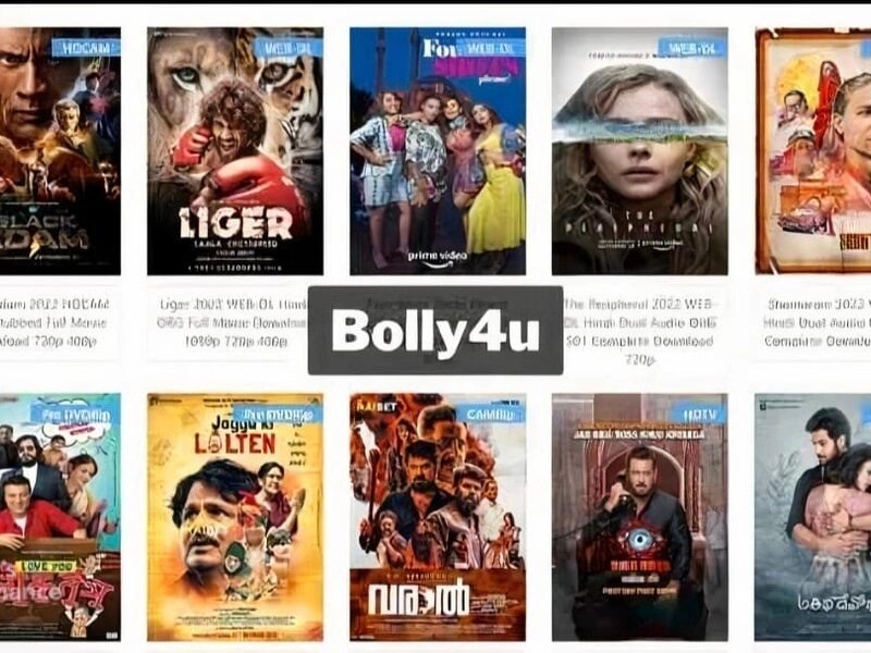 Everything You Need to Know About Bolly4u