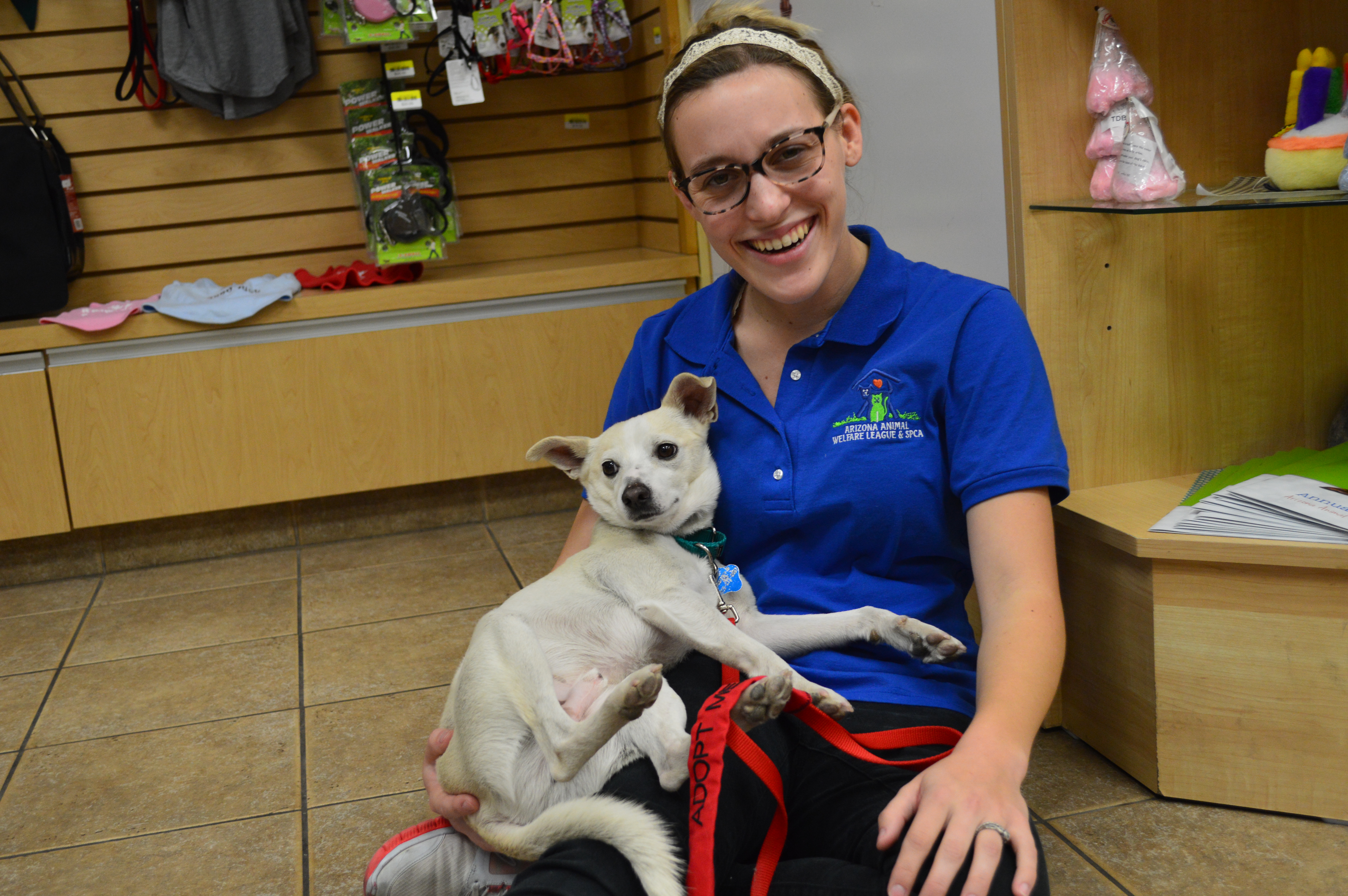 Puppy Rescue Chandler Az / Arizona Small Dog Rescue 129 Photos 150