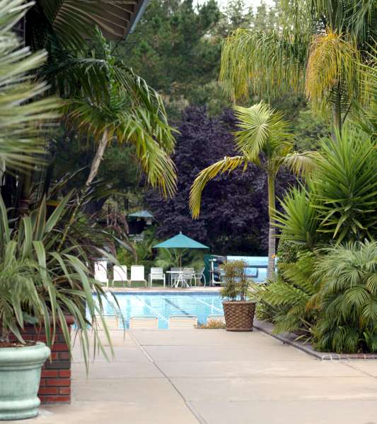 Avila Bay Athletic Club & Spa Photo Albums