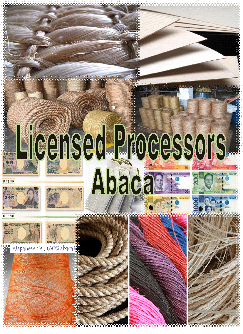 Licensed PROCESSORS/MANUFACTURERS (PROC) Abaca Fiber Industry in the