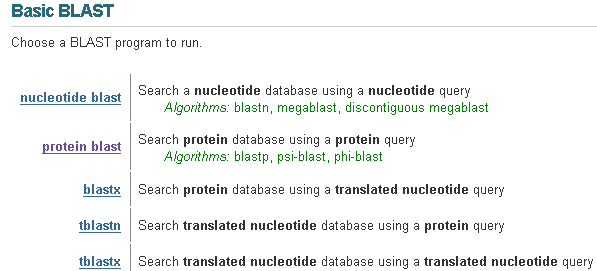 Protein Blast Introduction
