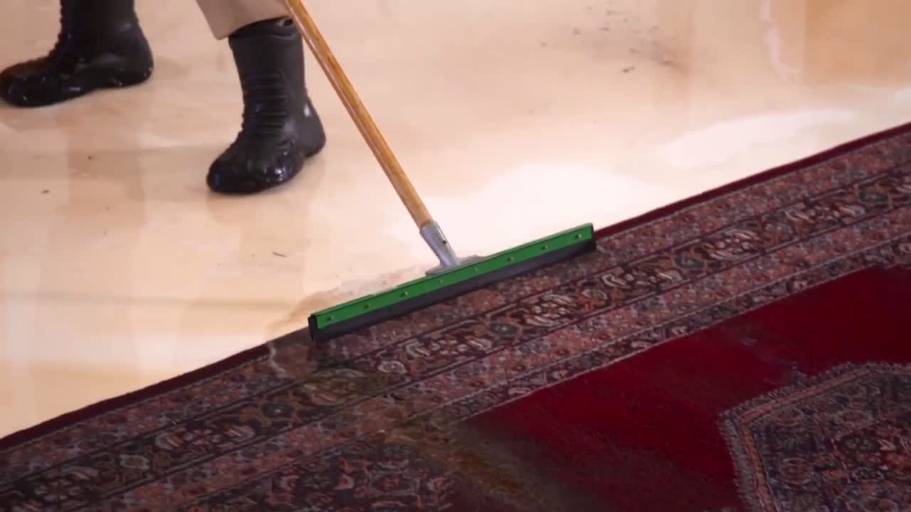 Stanley Steemer Oriental & Fine Area Rug Cleaning 2017 Ad Commercial on TV