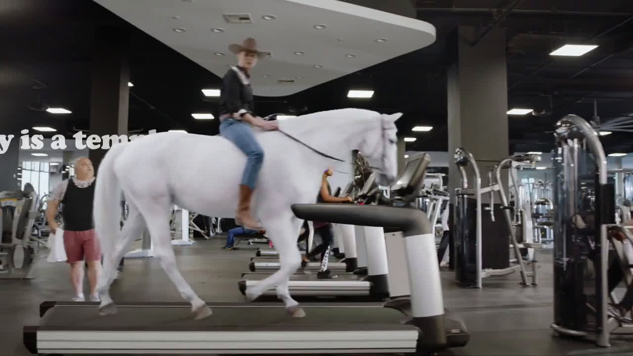Safe Auto Terrible Quotes Beach Bot Horse Ad Commercial on TV
