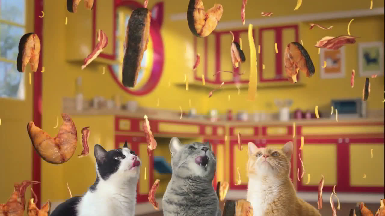 Friskies Cat Concoctions Wet Cat Food Ad Commercial on TV