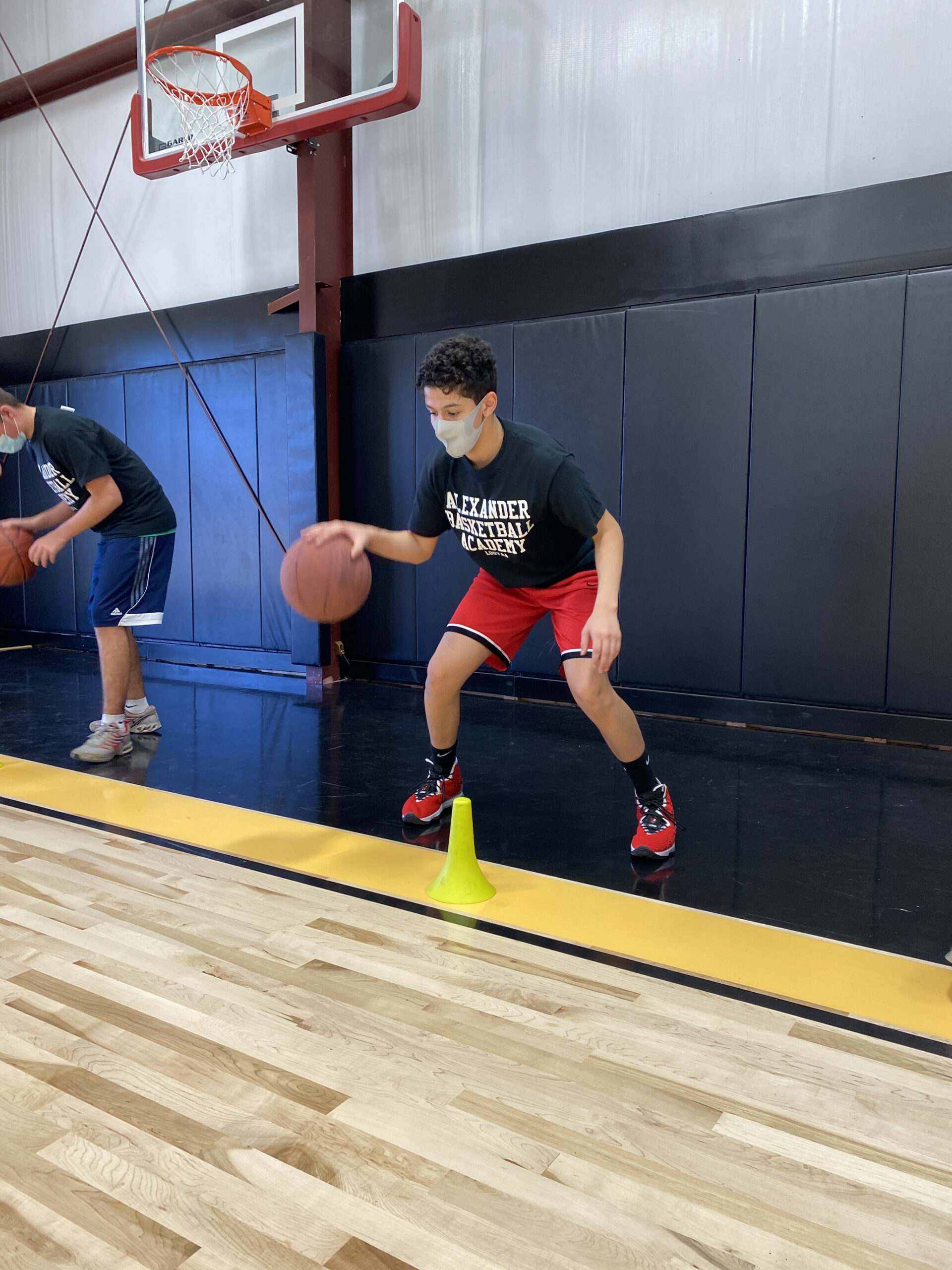 Camps & Clinics Alexander Basketball Academy