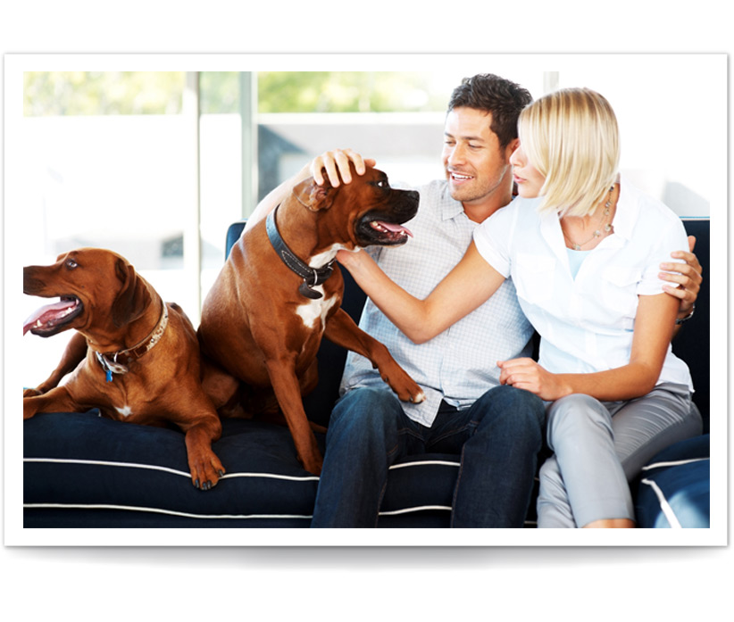 Your Pest Control Consultants Pest Control DeKalb IL.