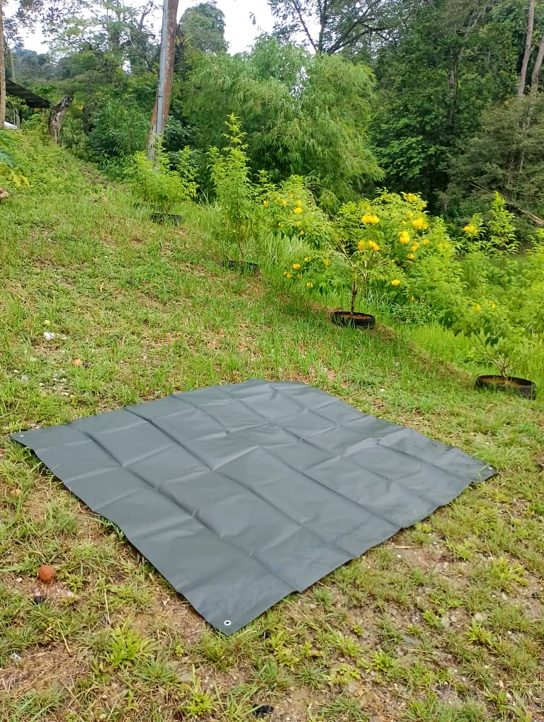 Nylon Canvas Abba Paradise