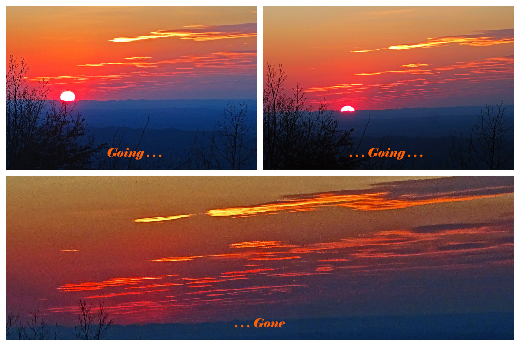 February 2022 Abba's Art