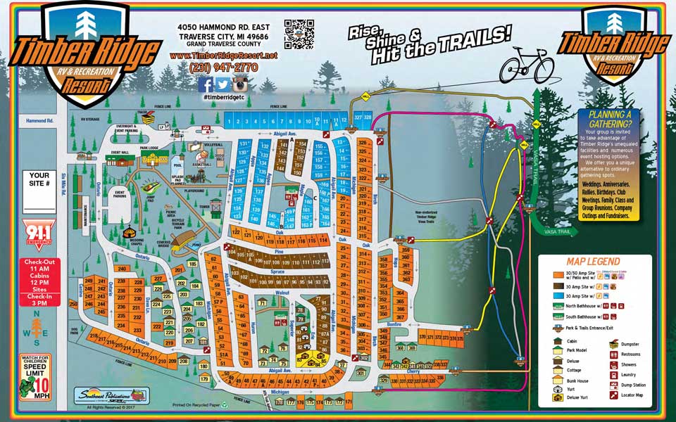 Abbey & Jeff's Wedding In The Woods