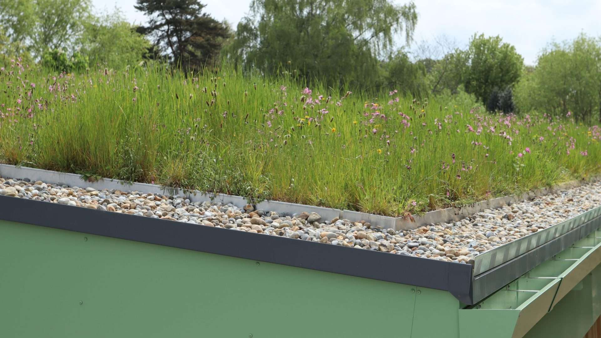 Spring Lane Abbott Construction