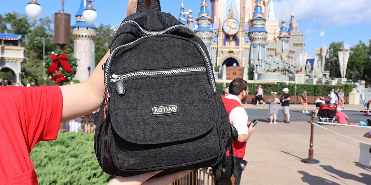 What kind of backpacks are allowed in Disney World?