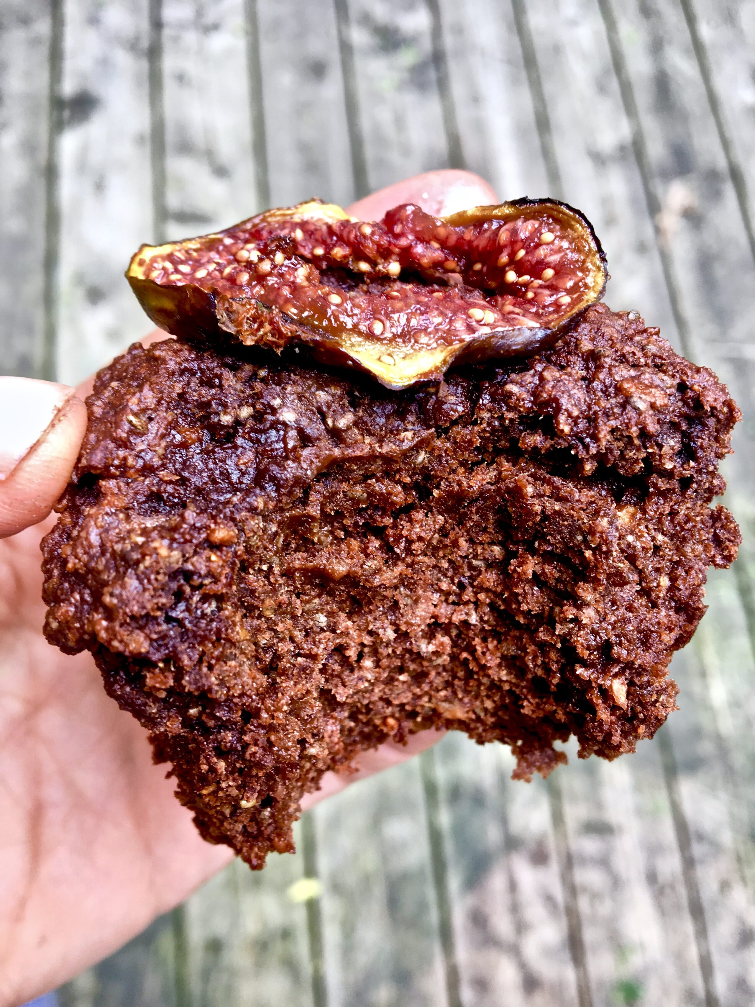 protein packed rich chocolate fig muffins