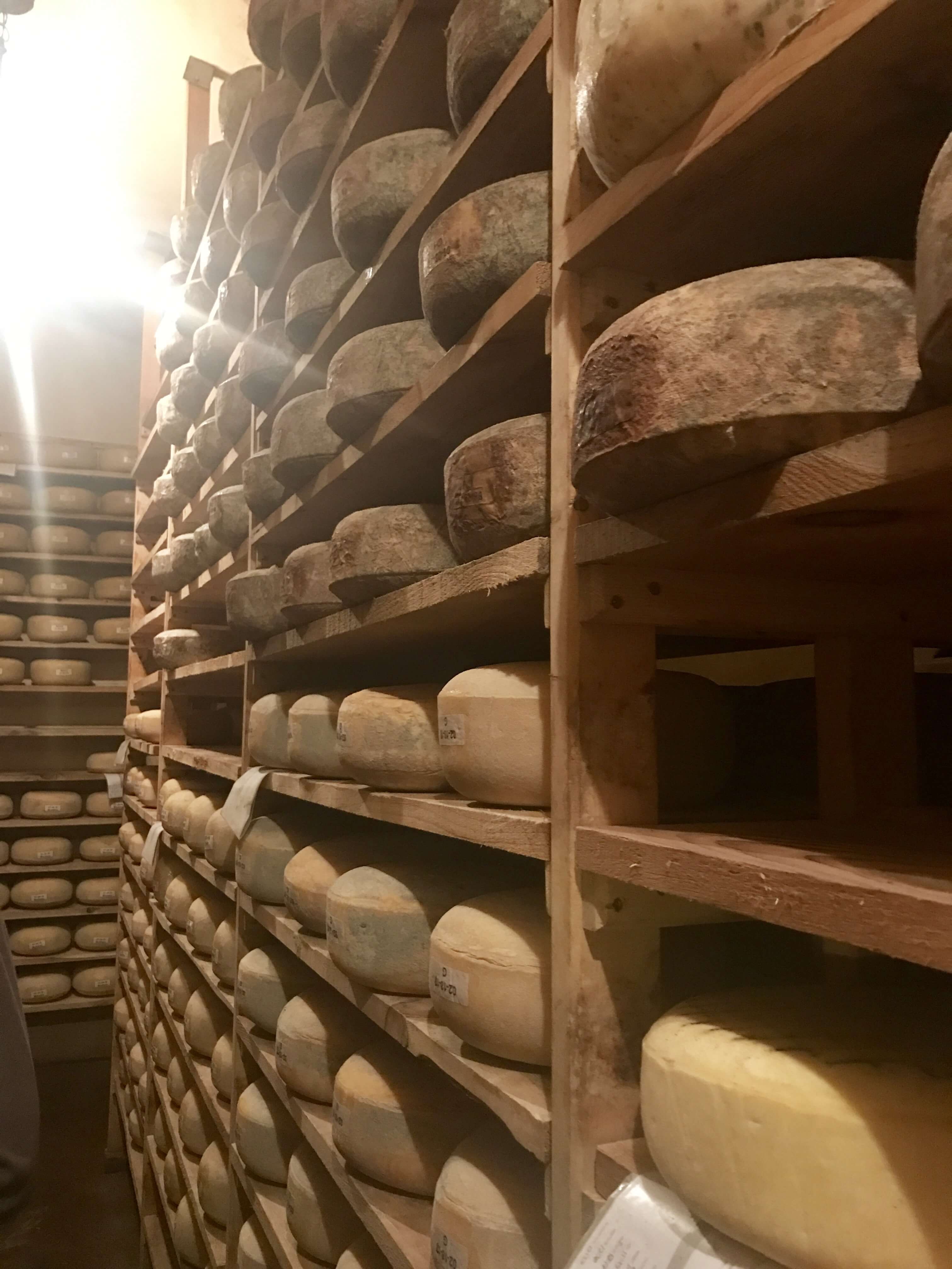 cheese cave 2 Abby Sheehan Makeup