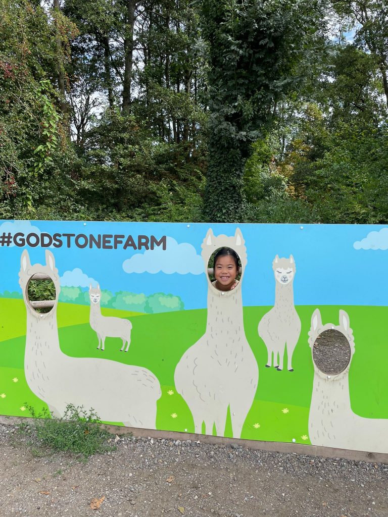 Things to do Godstone Farm ABC Dad