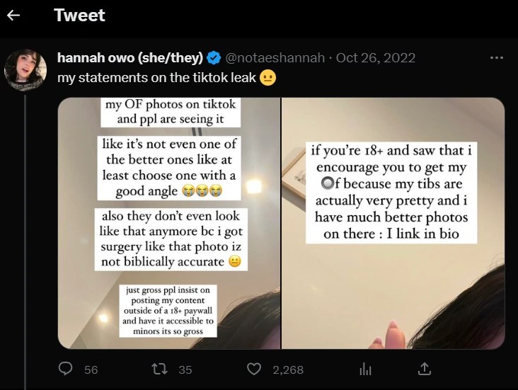 TikTok Star Hannah Owo Facts Wiki, Age, Family, Boyfriend, Dating
